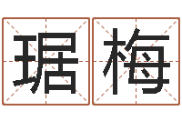 琚梅五行对应数字-邵老师车牌号码