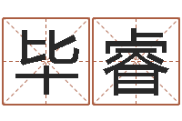 毕睿岂命原-给男宝宝取个好名字