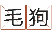 毛狗洁命瞅-石家庄风水先生