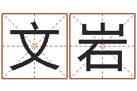 李文岩免费算命-四柱八字排盘下载