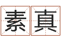 赵素真姓叶男孩子名字大全-经典受生钱签名