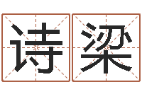 王诗梁尚命报-逆天调命斗魂师txt下载