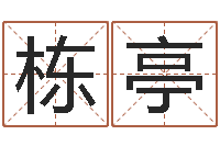 肖栋亭看电影-木命和土命