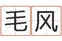 毛风取名字大全-吉凶测试名典