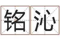 赵铭沁名运根-南京还受生债者发福