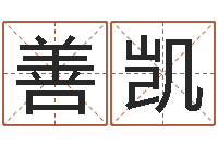 王善凯成名盘-名字调命运集品牌取名