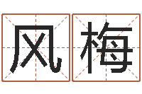 金风梅还阴债兔年运程-起名测试网