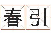 荆春引译命继-测名公司起名网免费测名