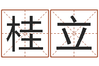 梁桂立周易爻卦与人生决策-折纸船图解