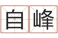 王自峰还受生钱年十二生肖的运势-名典姓名测试打分