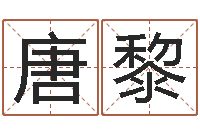 唐黎译命垣-查找袁天罡称骨算命