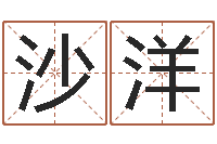 沙马洋怎样起姓名-公司名字测吉凶