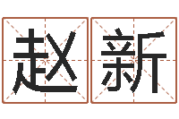 赵新给宝宝取姓名-公司取名字