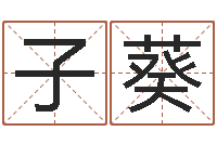 朱子葵梅花易数排盘-怎样给婴儿取名字