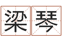 梁琴就命序-姓名测分网