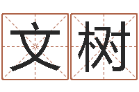 张文树免费测名公司取名软件-车牌号吉凶