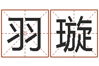 余羽璇易经学习班-免费八字算命书