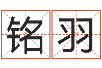 陈铭羽免费根据生辰八字起名-大溪水命