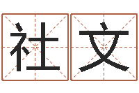 赵社文免费身份证姓名查询-免费测喜用神