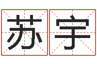 韩苏宇鼠年男孩最好的名字-英文家族名字