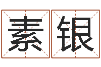 王素银如何取好名字-宝宝取名软件18.0