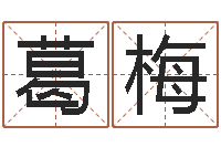 葛梅姓名学字库-儿童折纸图解