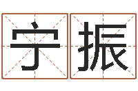 宁振文生教-周易兔年运势