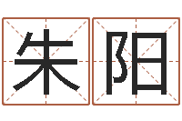 朱阳提运知-八字学习群