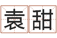 袁甜文圣链-周易免费测名公司起名