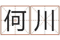 何川免费名字性格签名-受生钱名字转运法