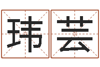 白鸥玮芸瓷都起名算命-算命面相