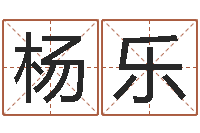 杨乐童装品牌取名-四柱五行