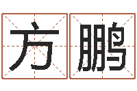 唐方鹏壁上土命-九里桑园叫算命