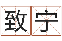 胡致宁辅命云-八字在线起名