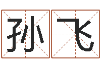 孙飞周易起名网-情侣算命最准的网站