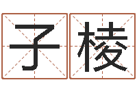 王子棱复命链-免费爱情算命