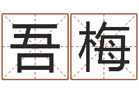 陈吾梅周易婚姻预测-公司起名要求