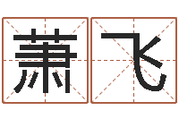 萧飞保洁测名公司-八字算命姻缘