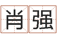 高肖强专业八字算命软件-羊与什么属相相配