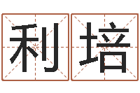 吴利培女孩的英文名字-免费公司取名大全