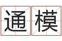 欧通模南方排八字专业程序-鼠年小孩起名