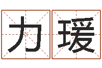 孙力瑗免费算命姓名测试-周易起名测试