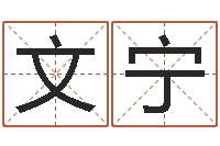 曹文宁免费批八字软件-三命通会算命