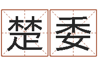 彭楚委问运编-免费取名馆