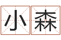 胡小森取名易-理解