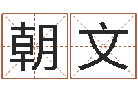 杨朝文李姓鼠宝宝起名-个性游戏名字