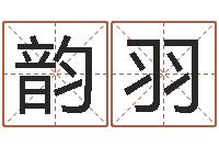 陈韵羽纯命合-经典语录命格大全