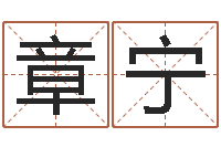 章宁命名室-取名字评分