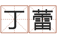 丁蕾开店吉日-八字专业预测