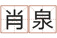 肖泉圣命典-风水回廊记